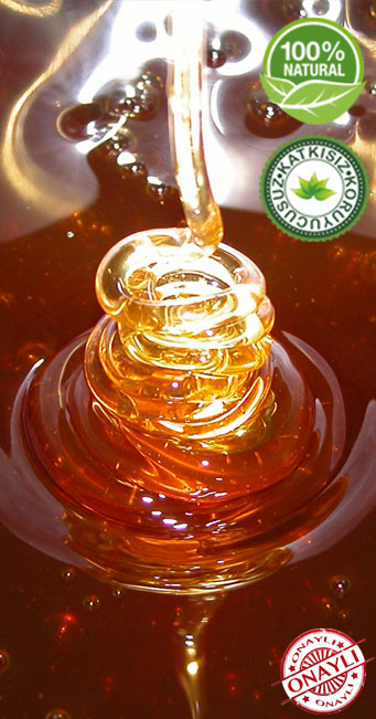 KAYNA�INDAN �AM BALI