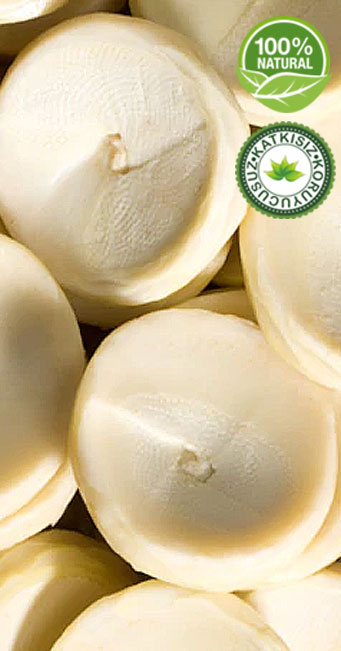 G�NL�K SOYULMU�  �ANAK  ENG�NAR