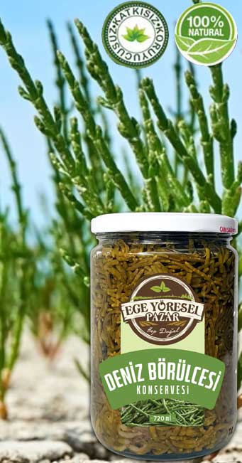 EGE DEN�Z�NDEN B�R�LCE